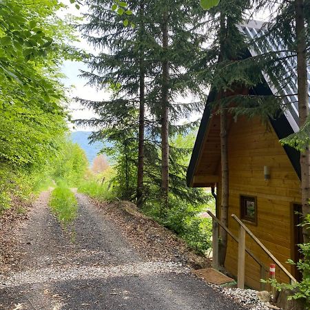 Tree House - Tara Place Mojkovac Eksteriør billede