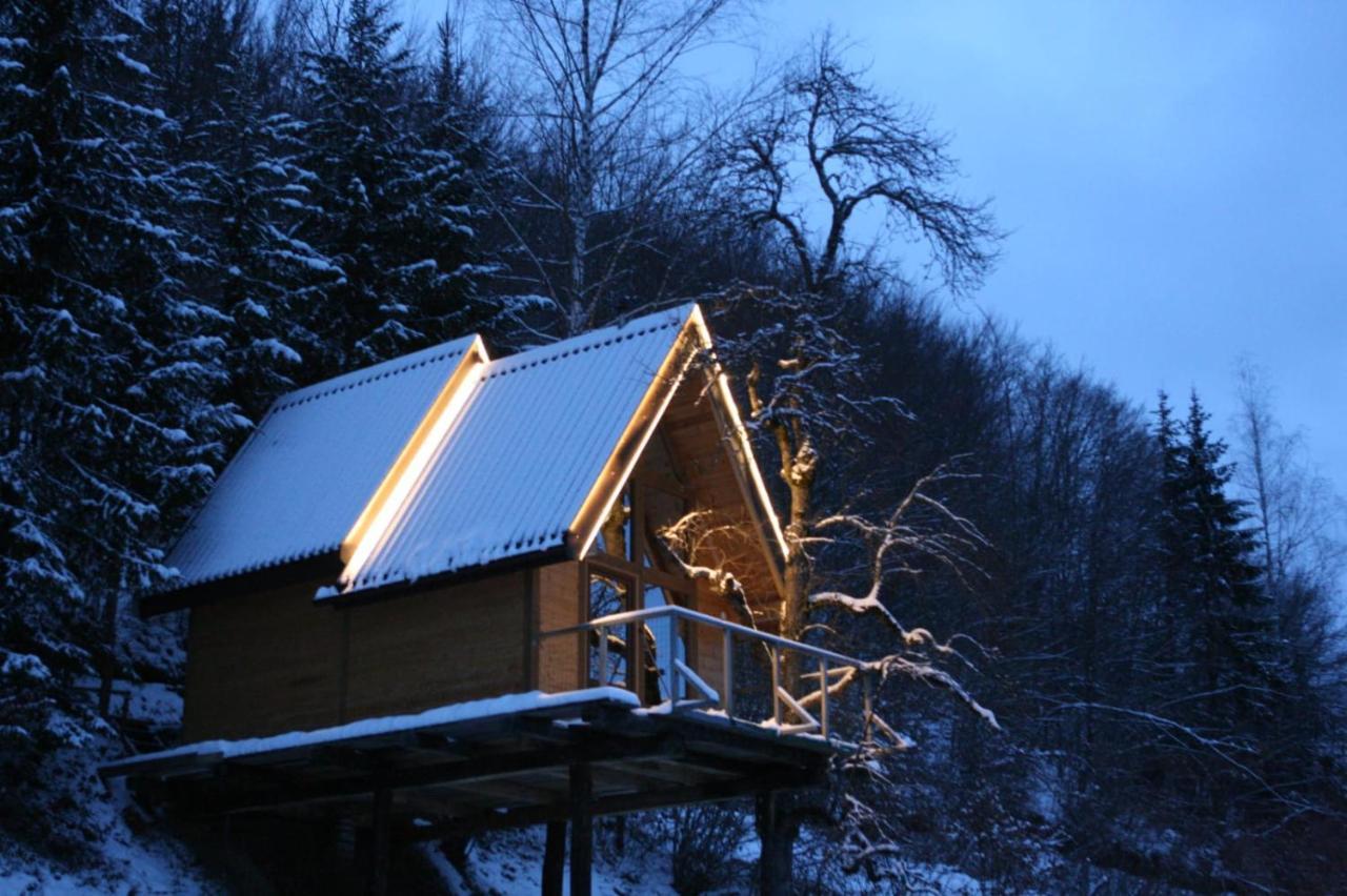 Tree House - Tara Place Mojkovac Eksteriør billede