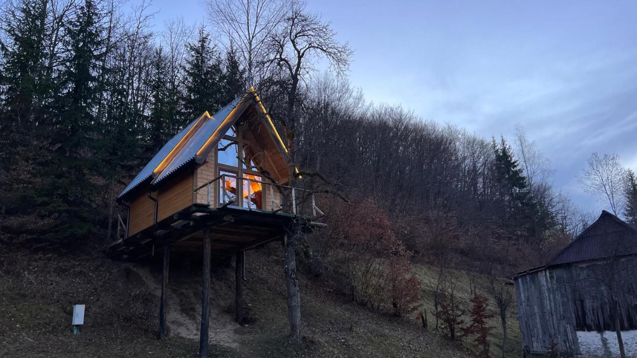 Tree House - Tara Place Mojkovac Eksteriør billede