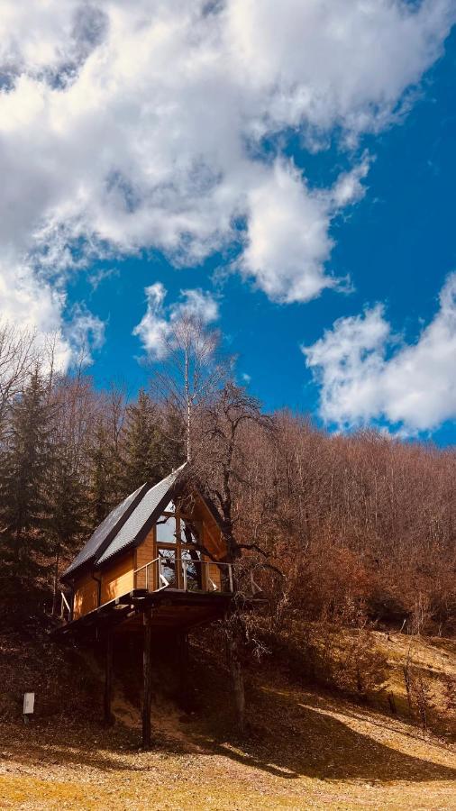 Tree House - Tara Place Mojkovac Eksteriør billede
