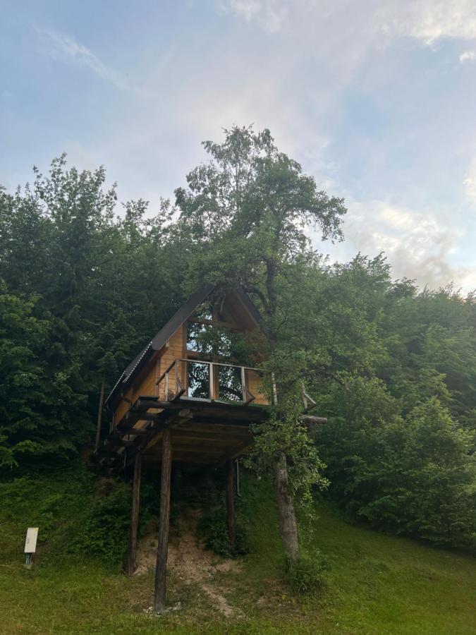 Tree House - Tara Place Mojkovac Eksteriør billede